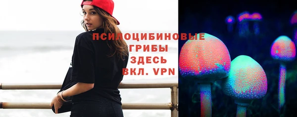 ПСИЛОЦИБИНОВЫЕ ГРИБЫ Краснотурьинск