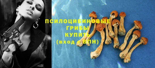 прущий лед Кулебаки