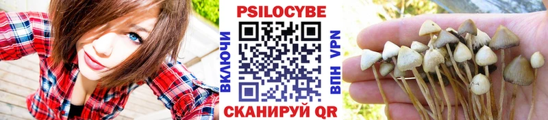 Псилоцибиновые грибы мухоморы Дыгулыбгей